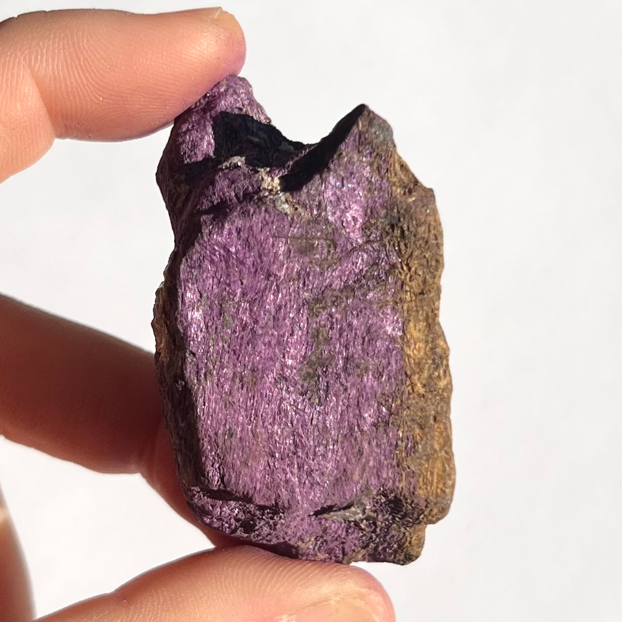 Purpurite brute 12