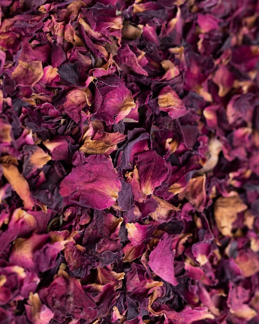 Pot de Rose / Fleurs séchées