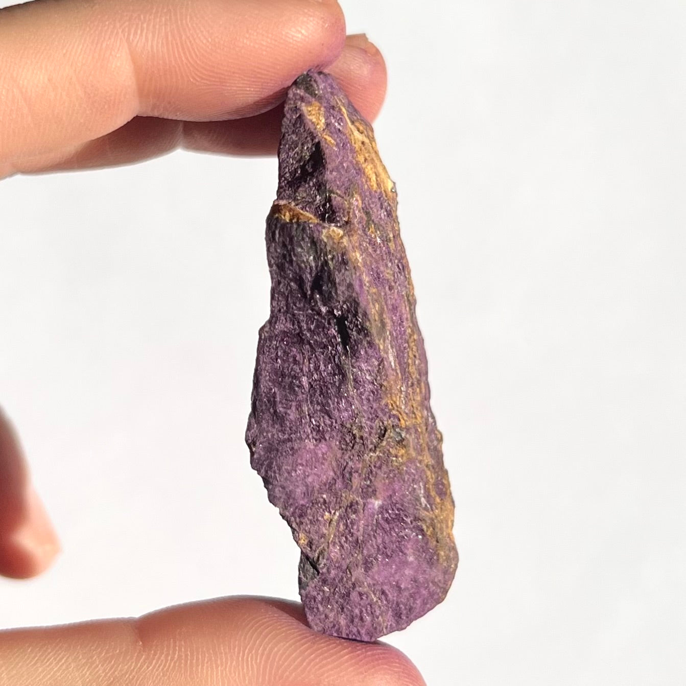 Purpurite brute 11
