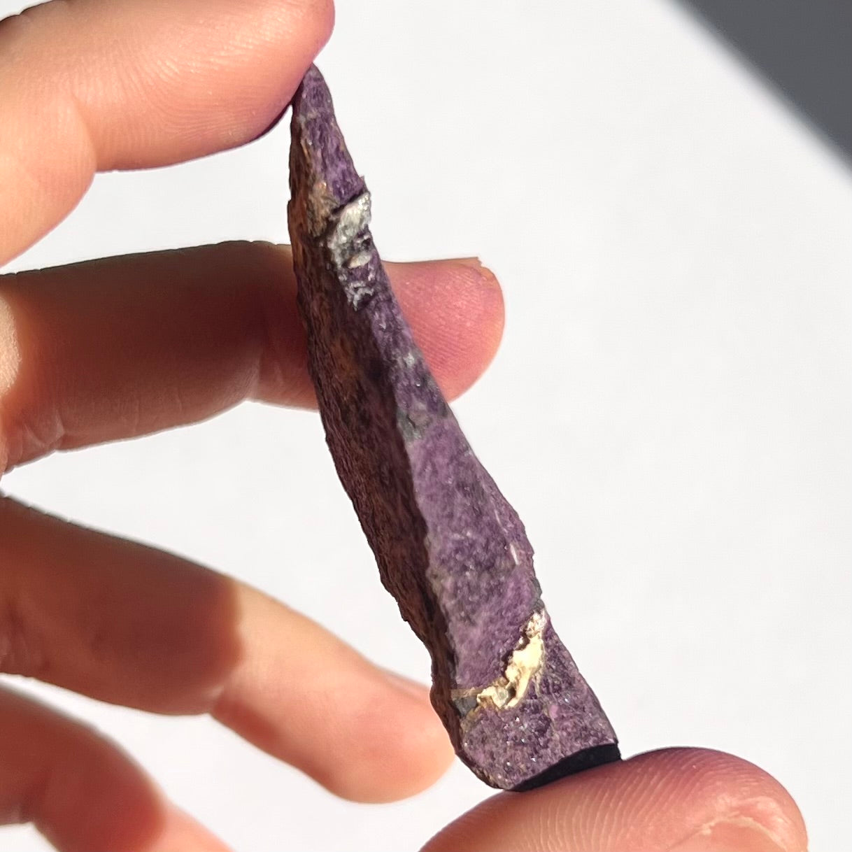 Purpurite brute 11
