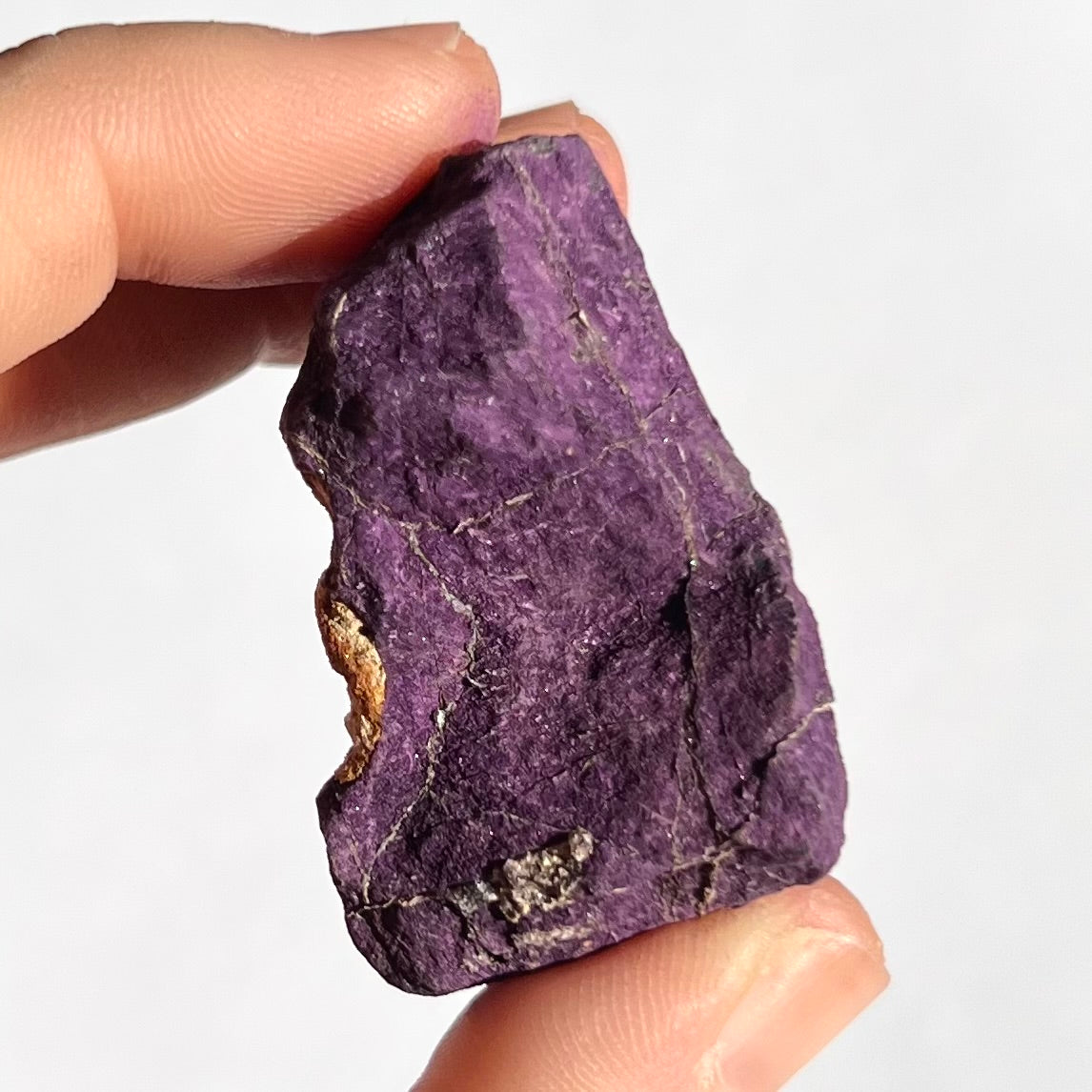 Purpurite brute 5
