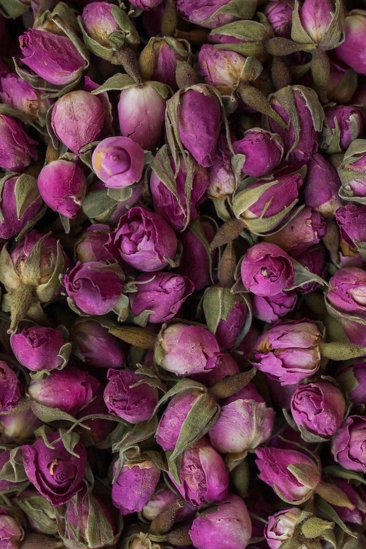Pot de Bourgeons de Rose rose / Fleurs séchées