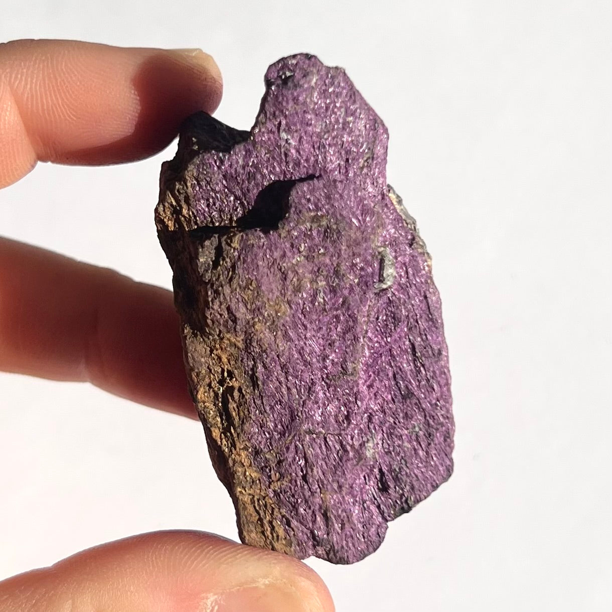 Purpurite brute 12
