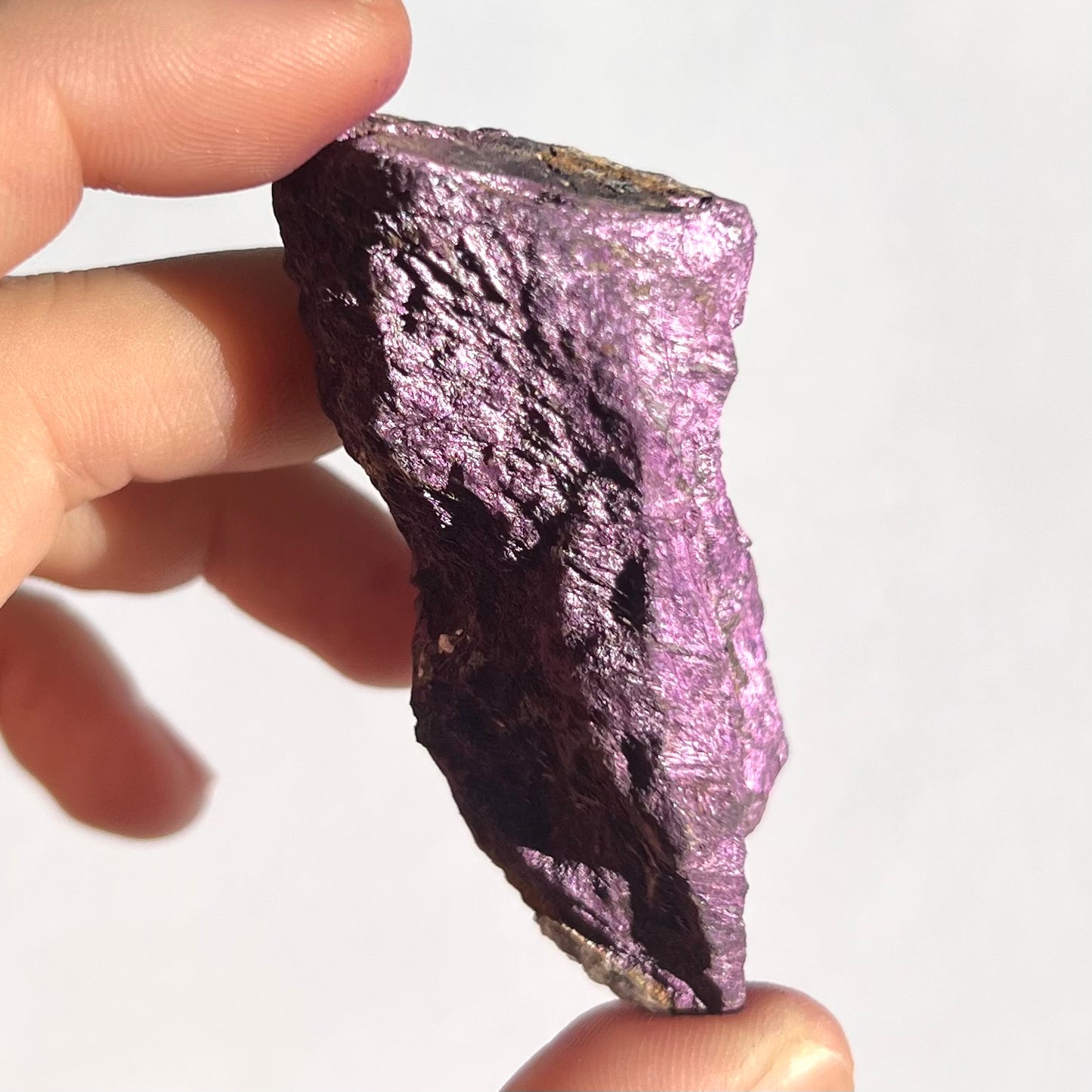 Purpurite brute 7