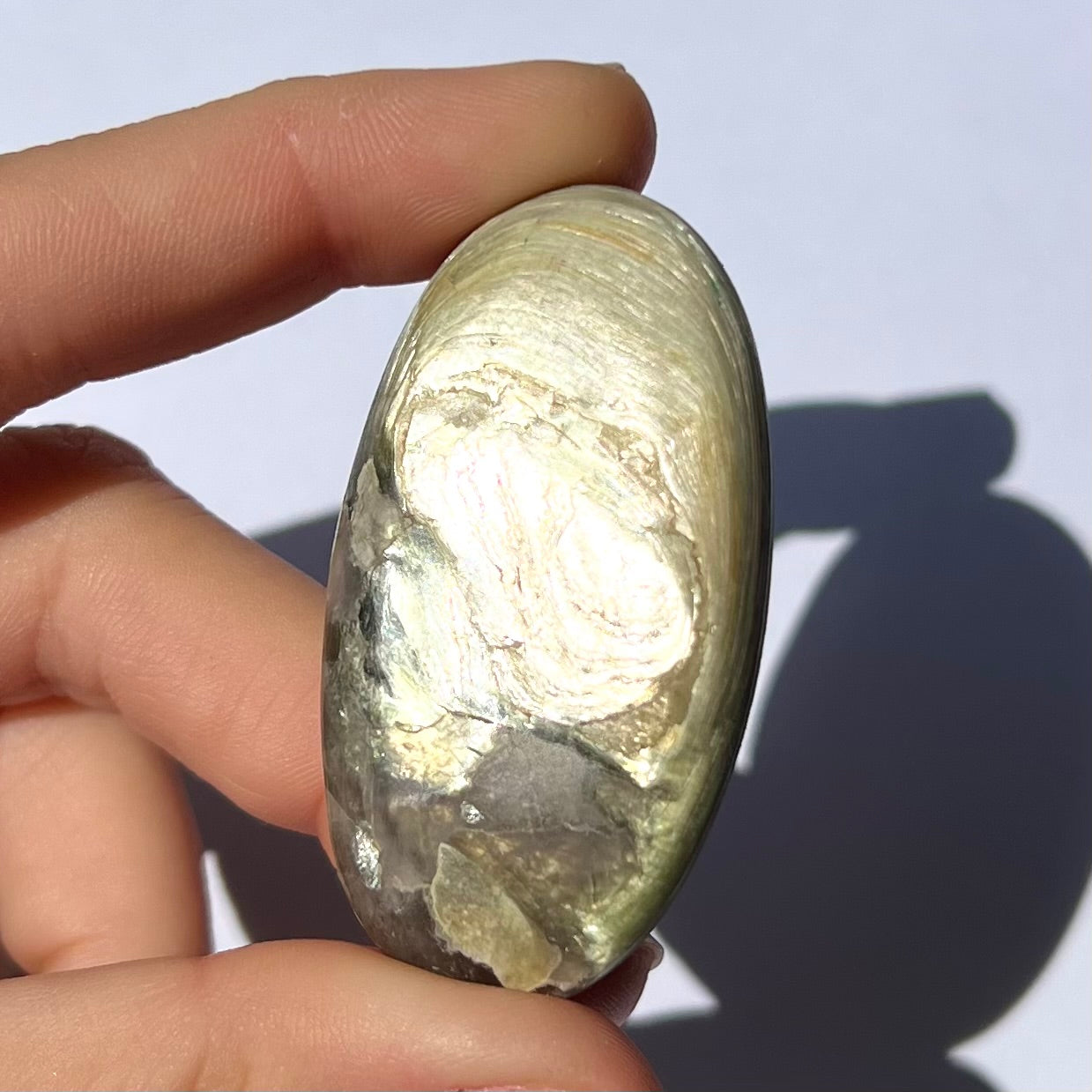 Galet Muscovite et Albite 1