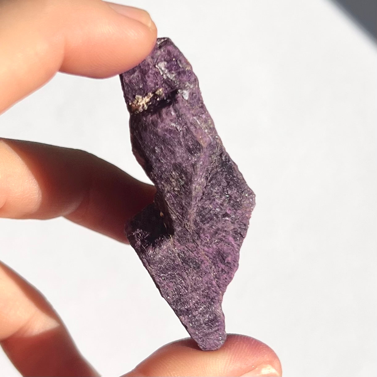 Purpurite brute 10