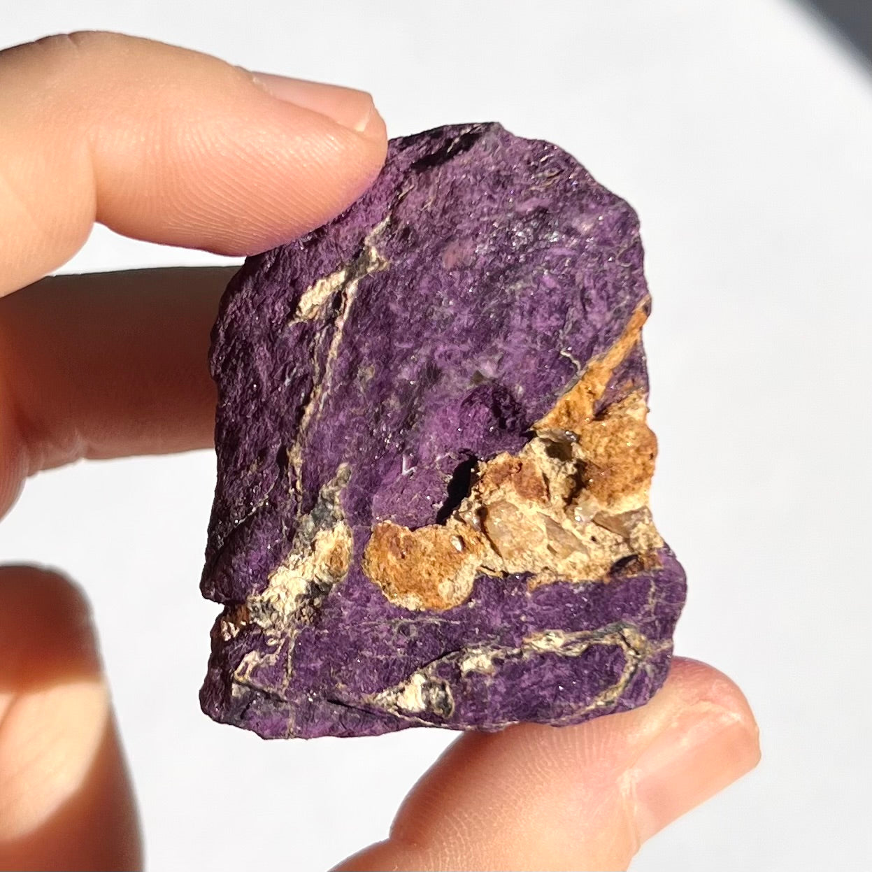 Purpurite brute 5