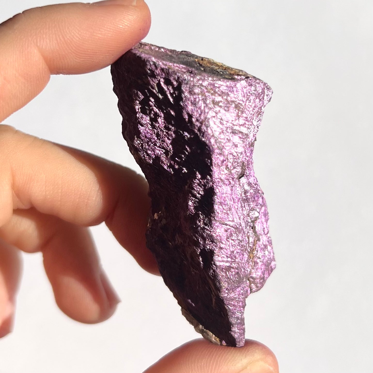 Purpurite brute 7