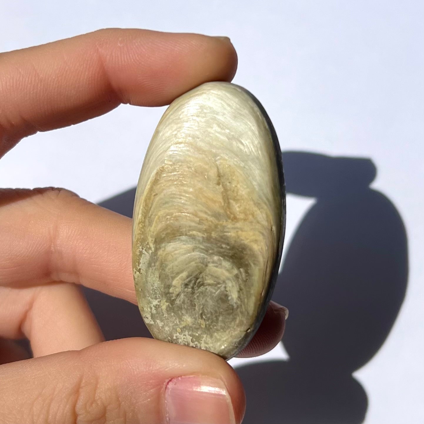 Galet Muscovite et Albite 1