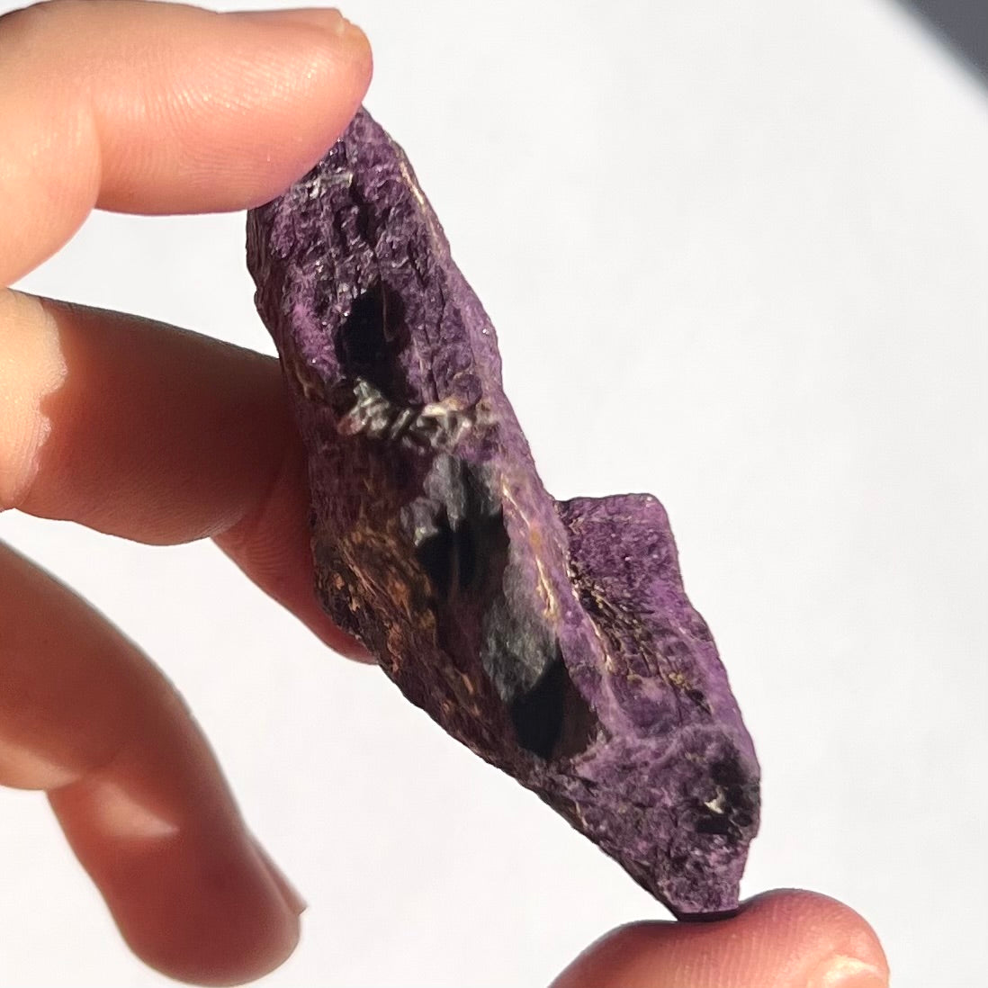 Purpurite brute 10