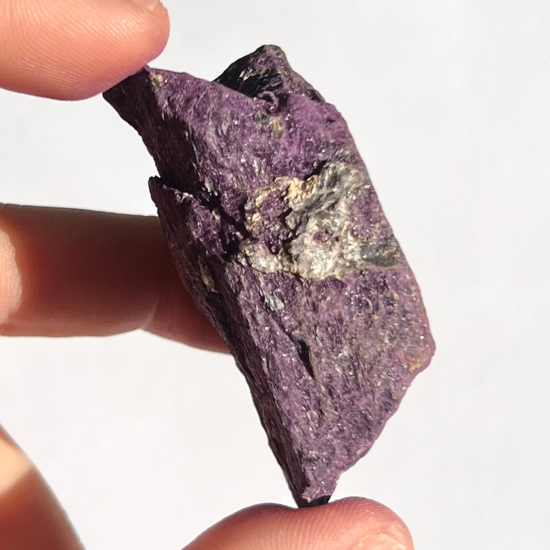 Purpurite brute 12