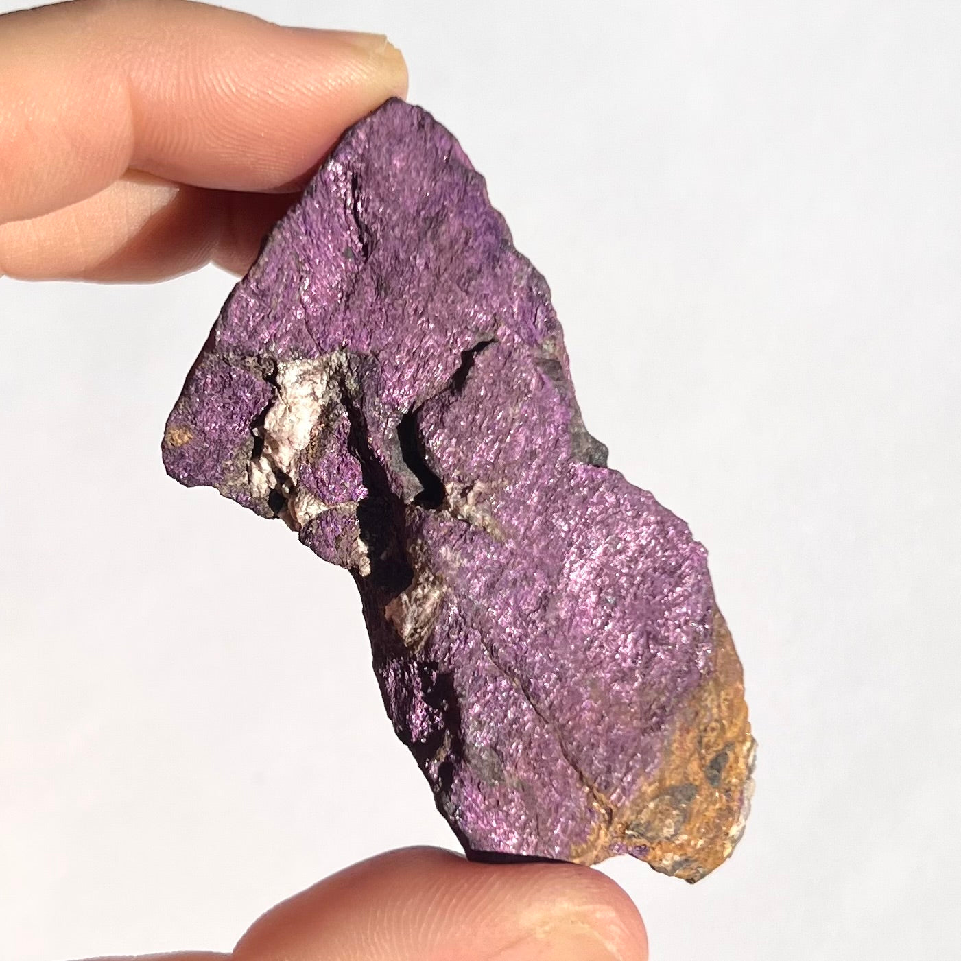 Purpurite brute 7