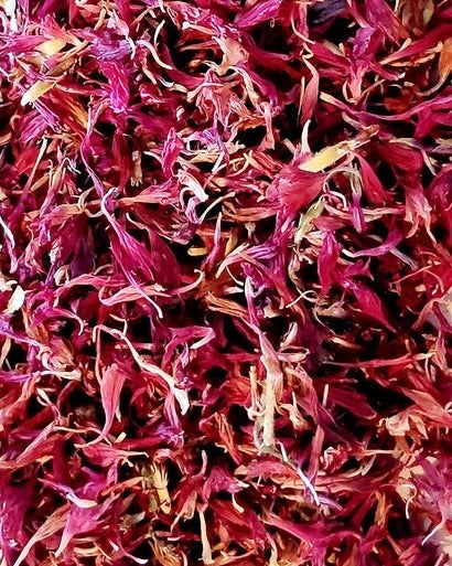 Pot de Bleuet rose / Fleurs séchées