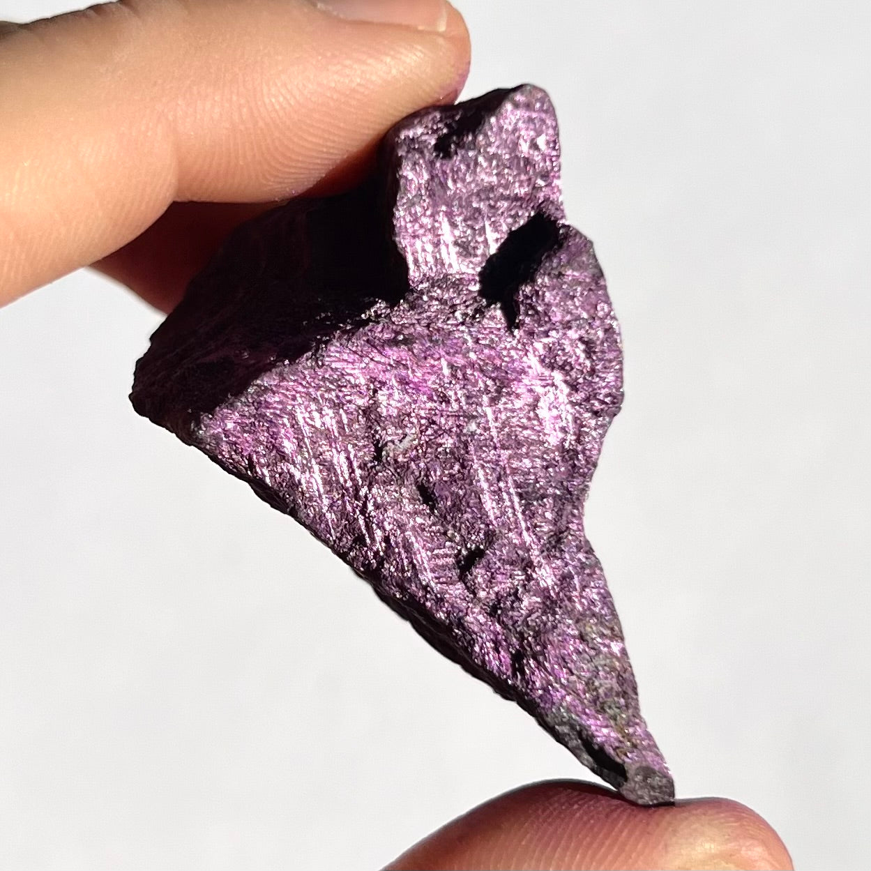 Purpurite brute 6