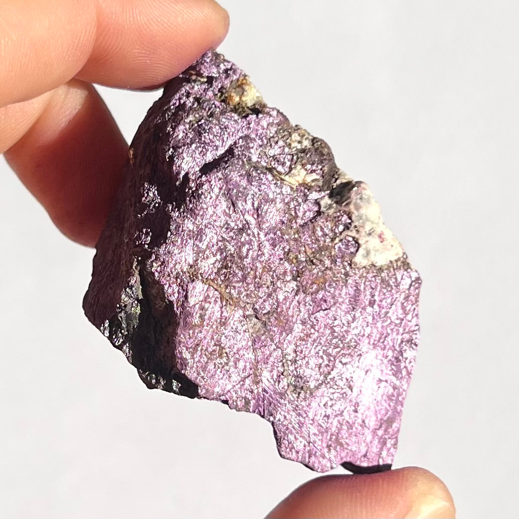 Purpurite brute 9