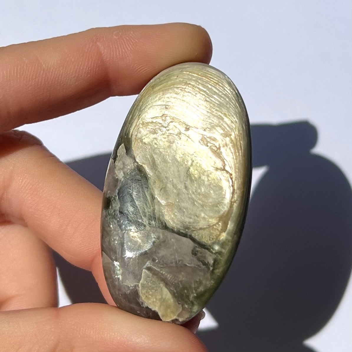 Galet Muscovite et Albite 1