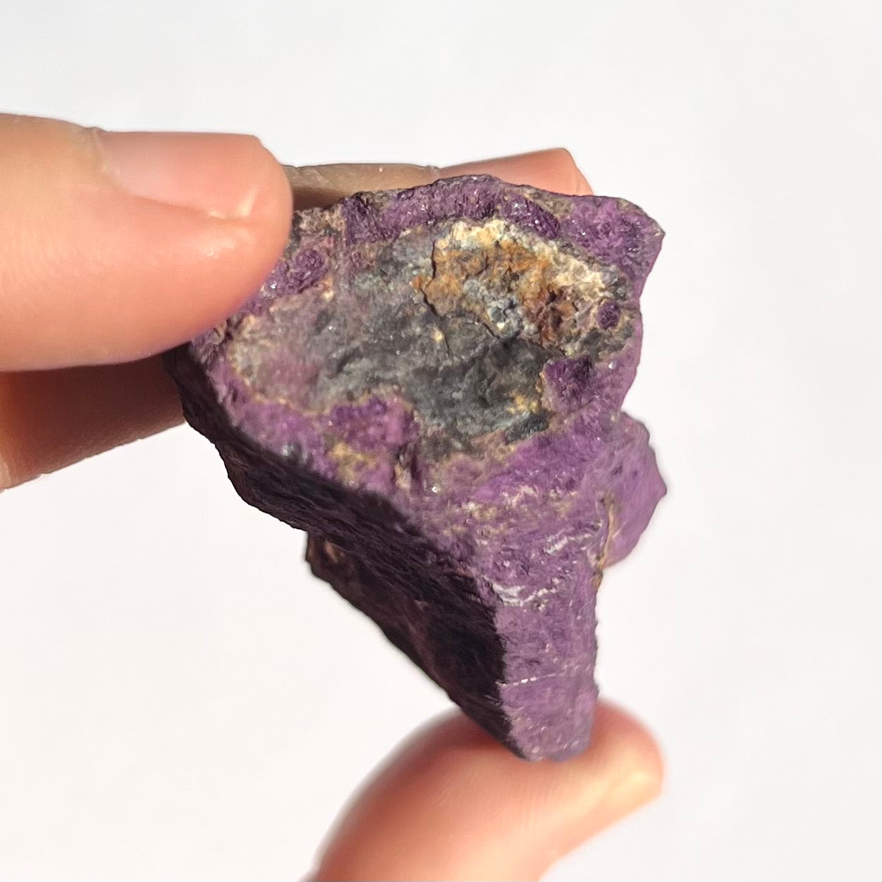 Purpurite brute 7