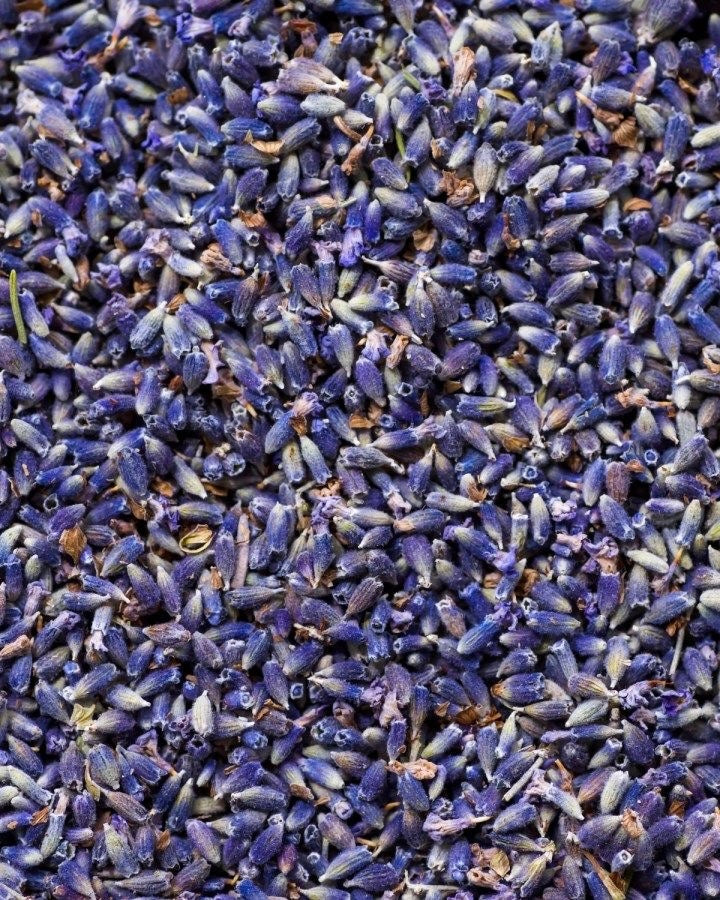 Pot de Lavande / Fleurs séchées