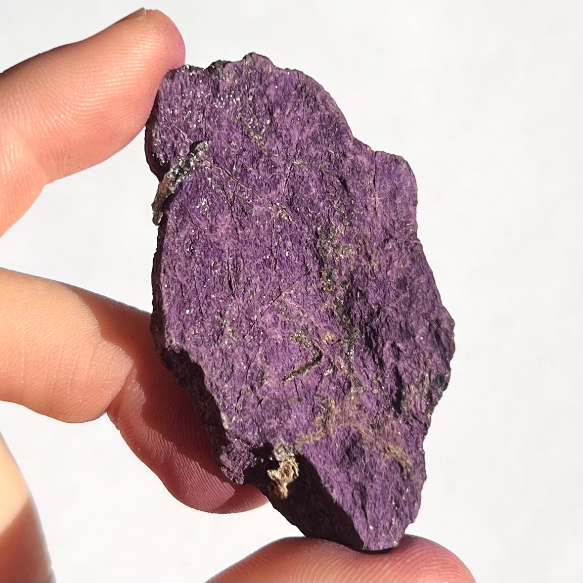 Purpurite brute 11