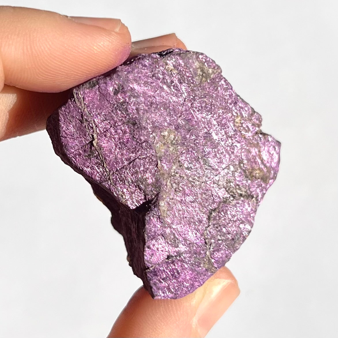Purpurite brute 5