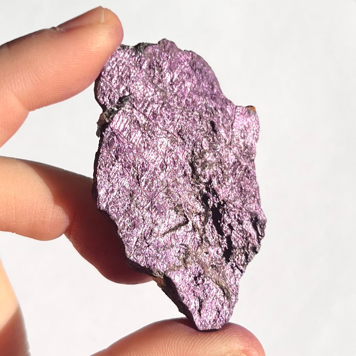 Purpurite brute 11