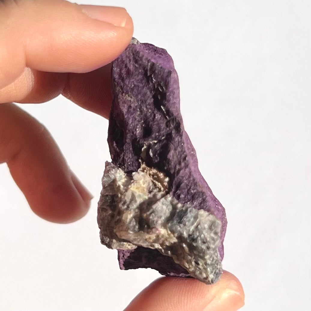 Purpurite brute 8