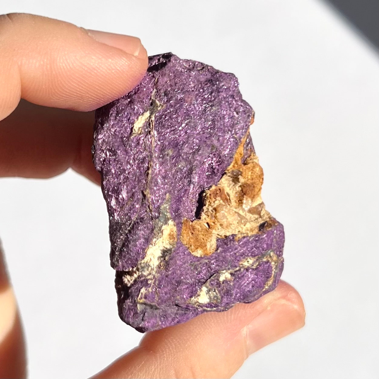 Purpurite brute 5