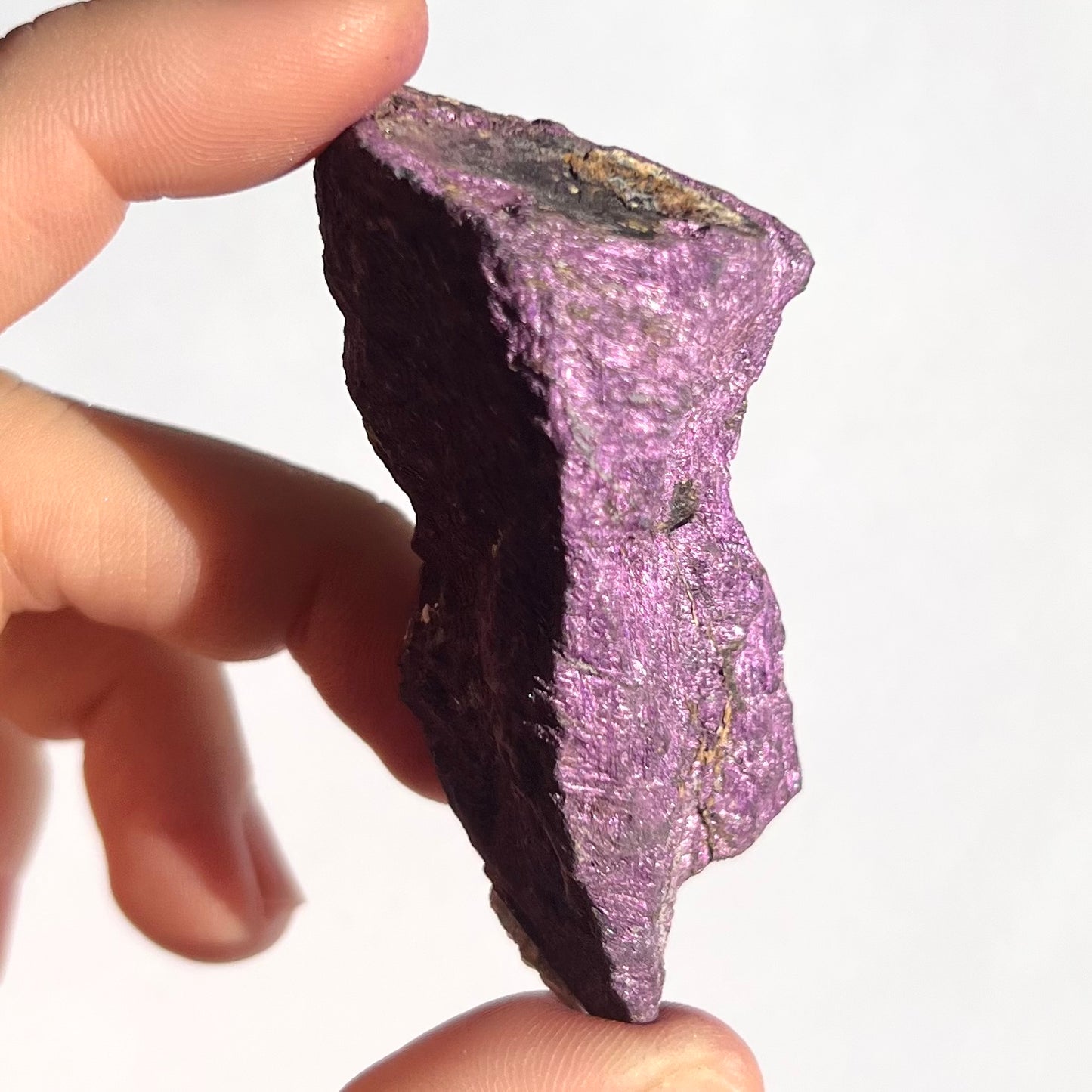 Purpurite brute 7