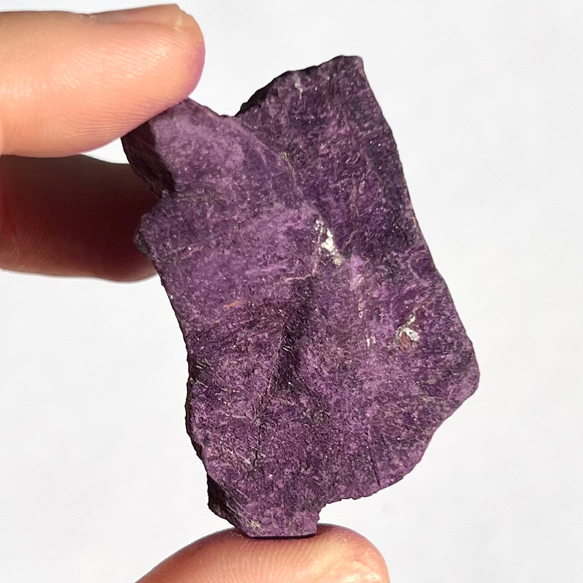 Purpurite brute 6