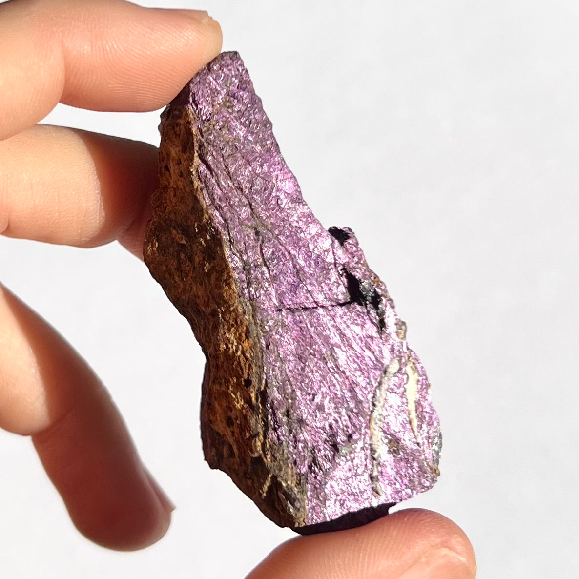 Purpurite brute 3