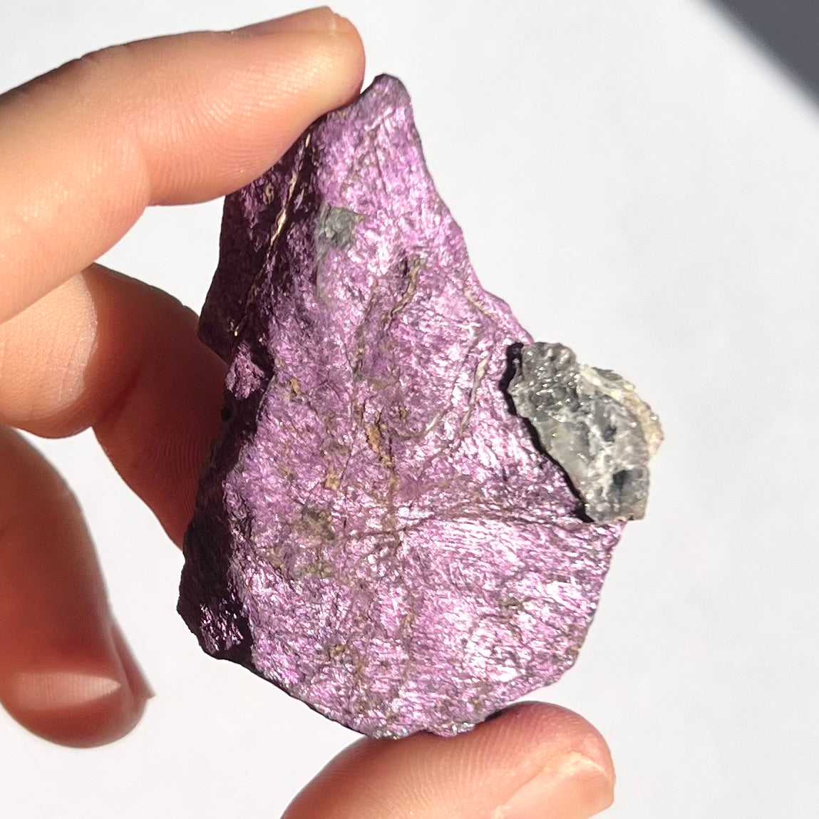 Purpurite brute 8