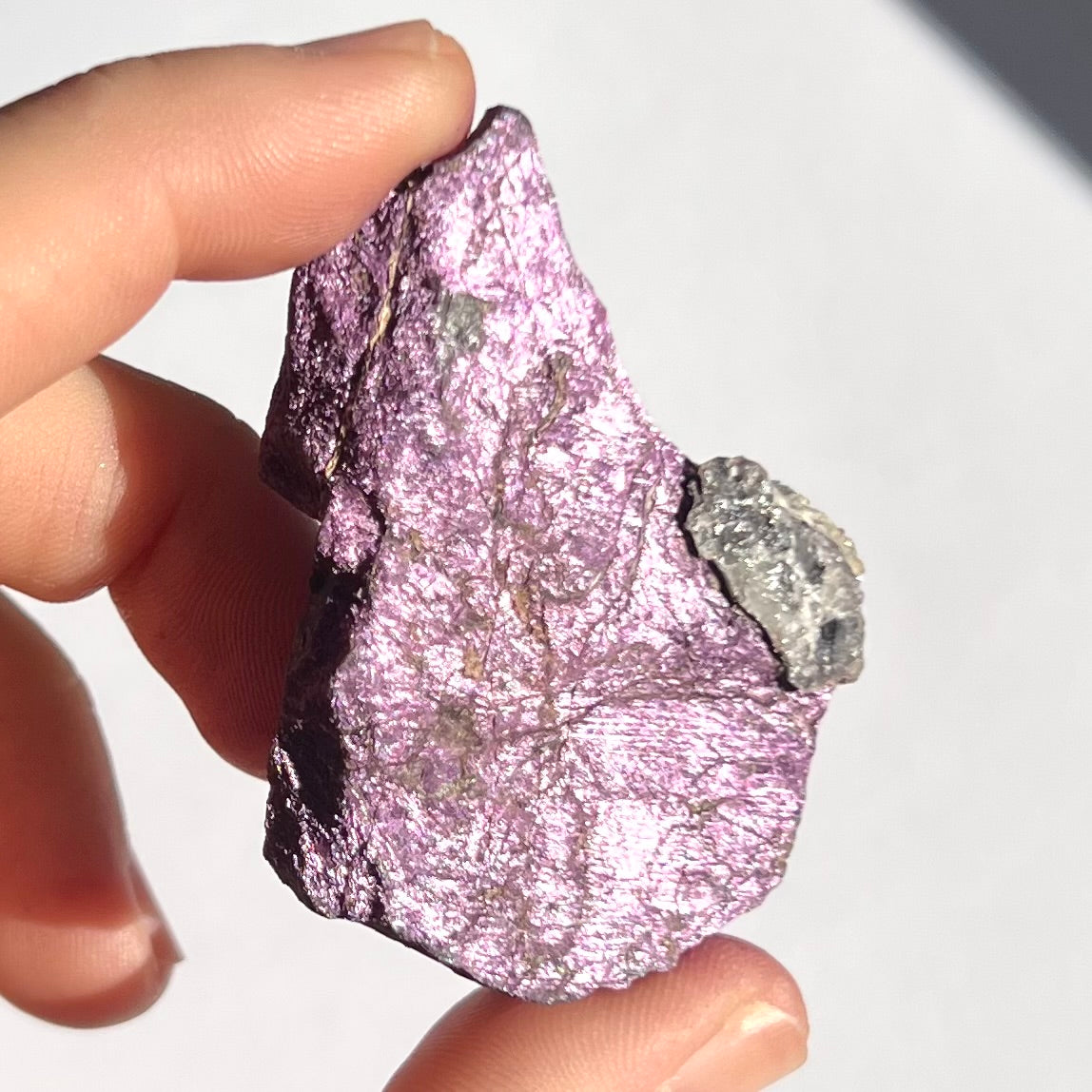 Purpurite brute 8