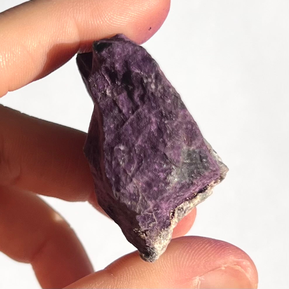Purpurite brute 8