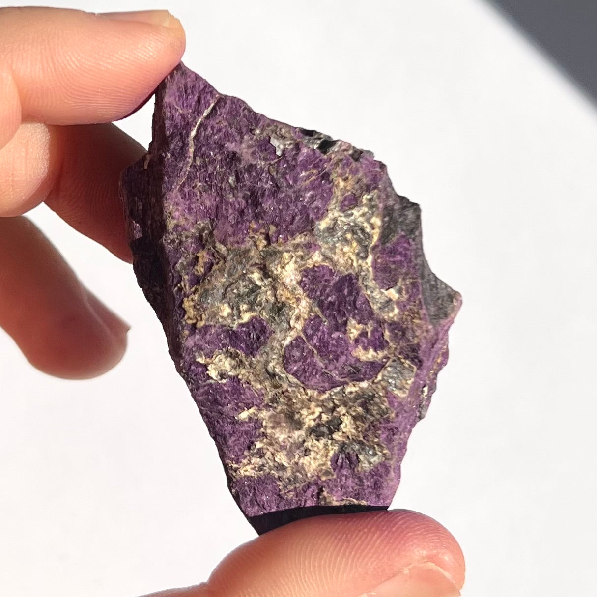Purpurite brute 10