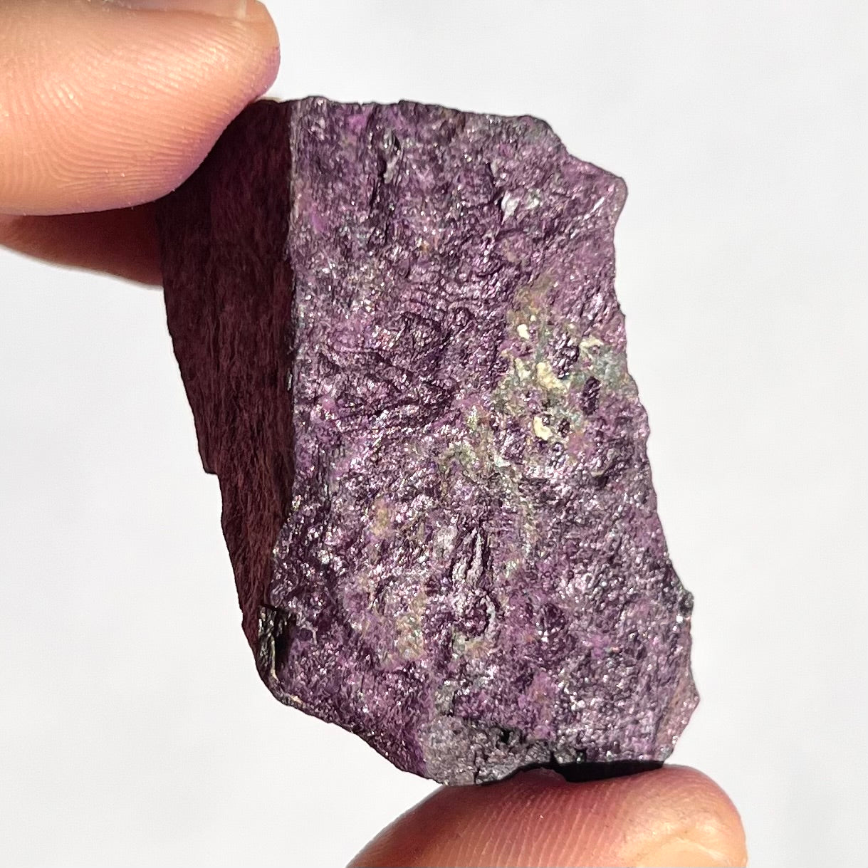 Purpurite brute 6