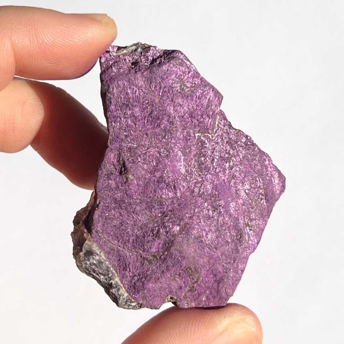 Purpurite brute 8