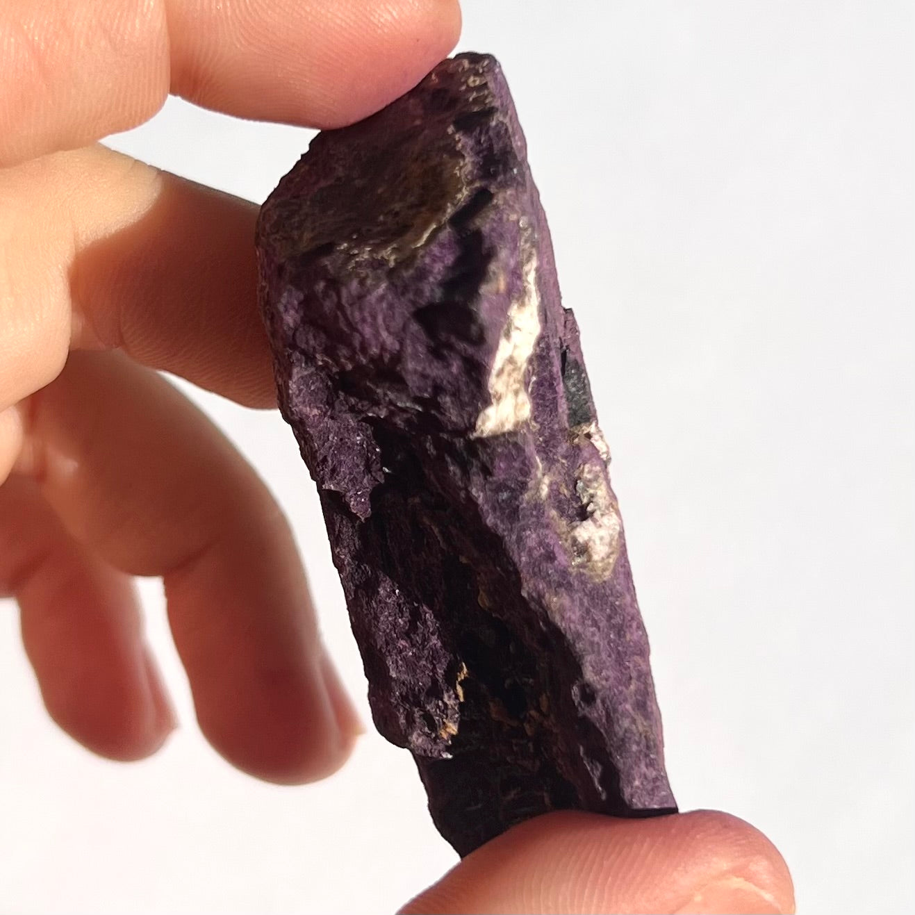 Purpurite brute 7