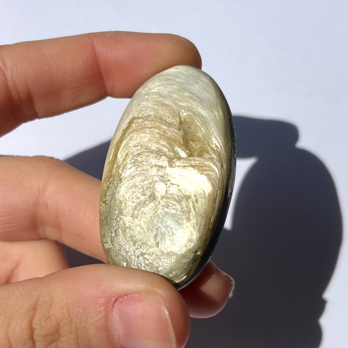 Galet Muscovite et Albite 1