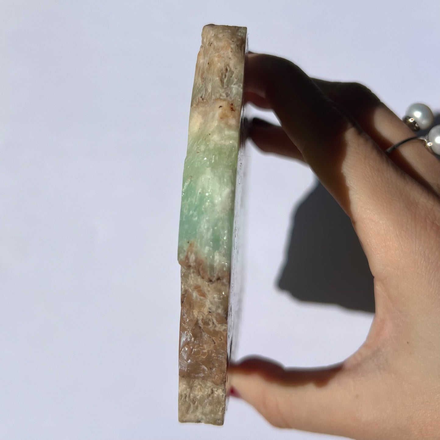 Tranche de Calcite des Caraïbes 2