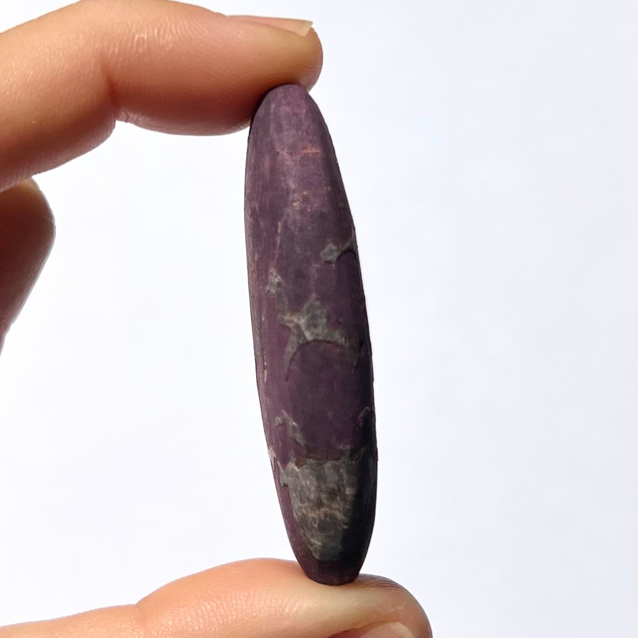 Galet Purpurite 2