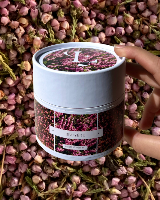 Pot de Bruyère / Fleurs séchées