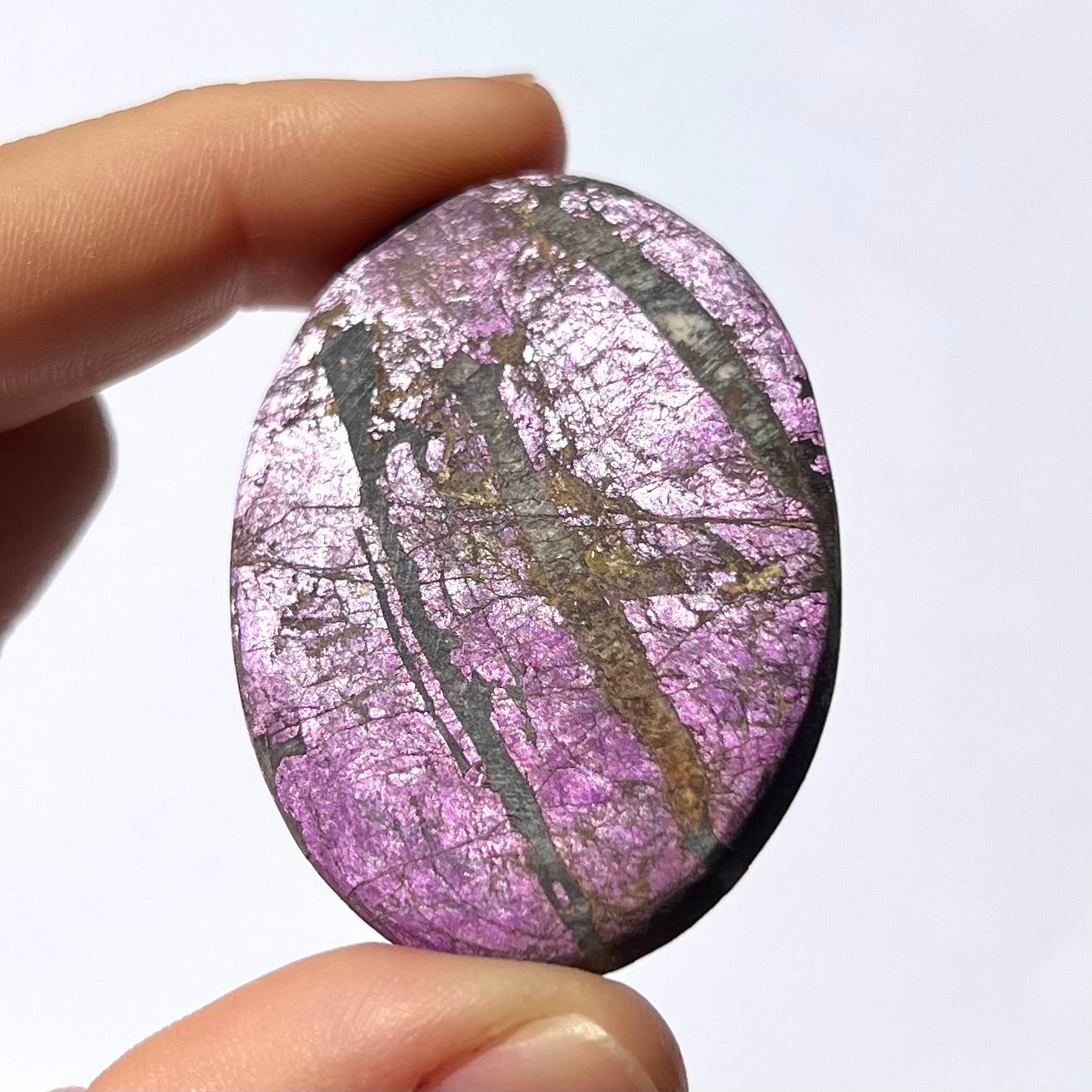 Galet Purpurite 5