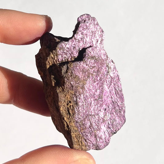 Purpurite brute 12