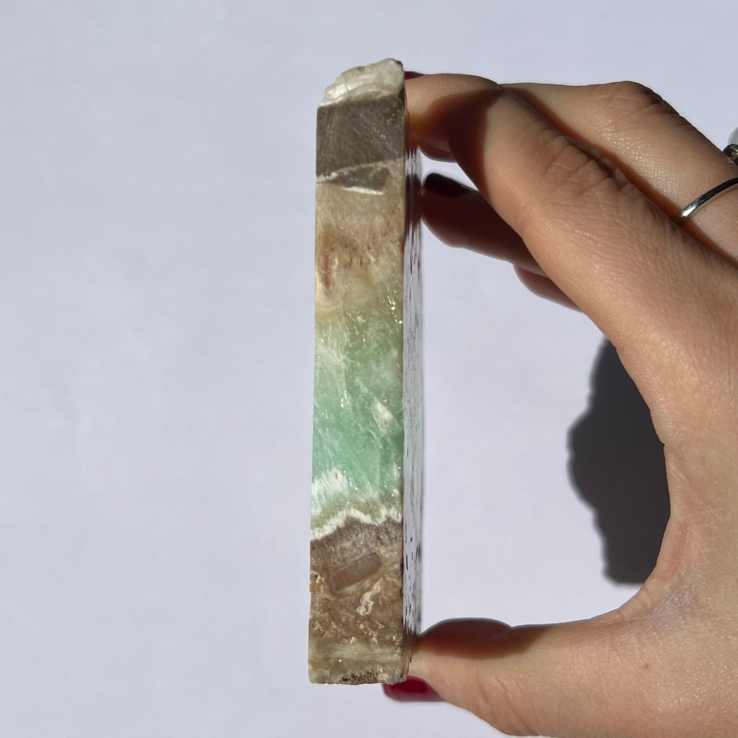 Tranche de Calcite des Caraïbes 4