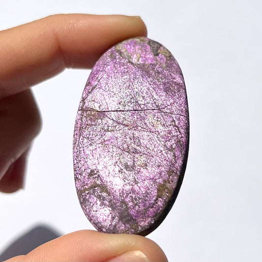 Galet Purpurite 1