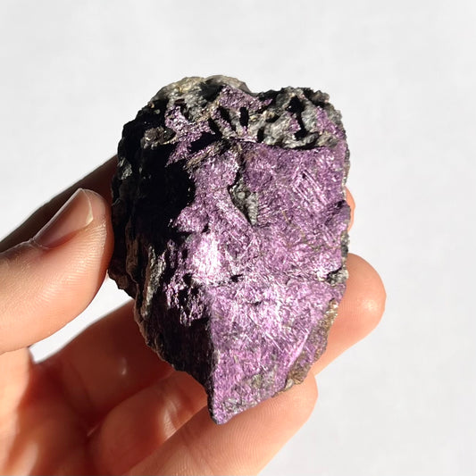Purpurite brute 1