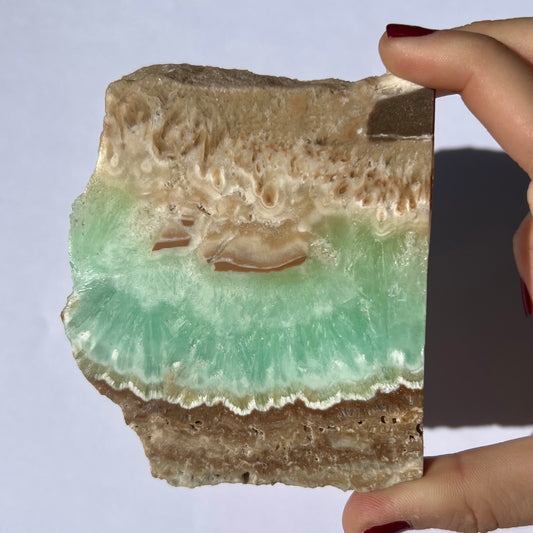 Tranche de Calcite des Caraïbes 4