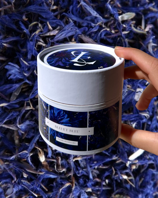 Pot de Bleuet Bleu / Fleurs séchées