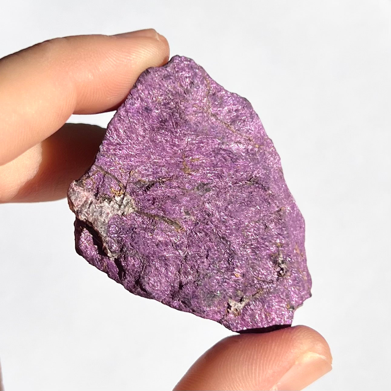 Purpurite brute 4