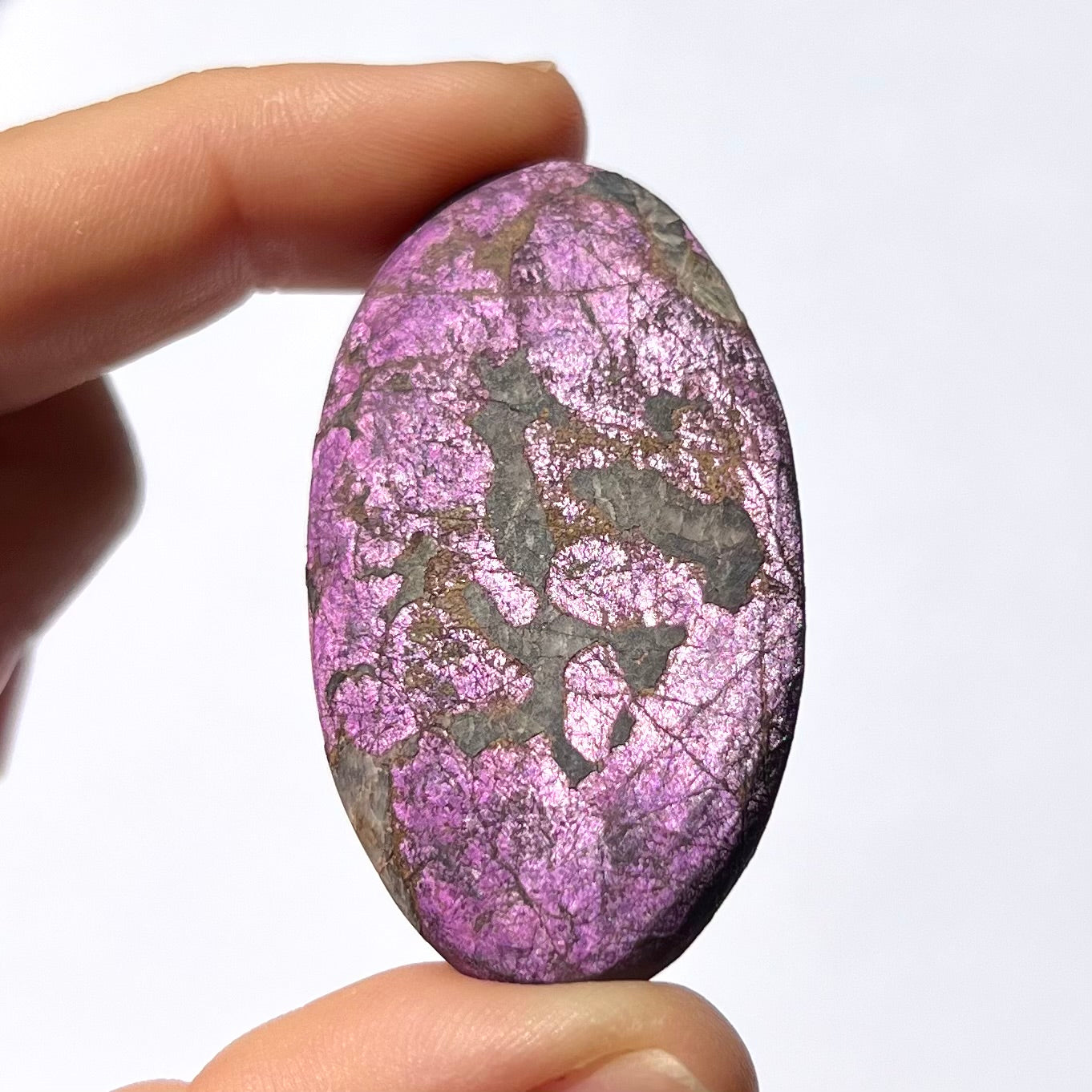 Galet Purpurite 2